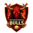 Bhimavaram Bulls-logo