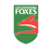 Leicestershire Women-logo